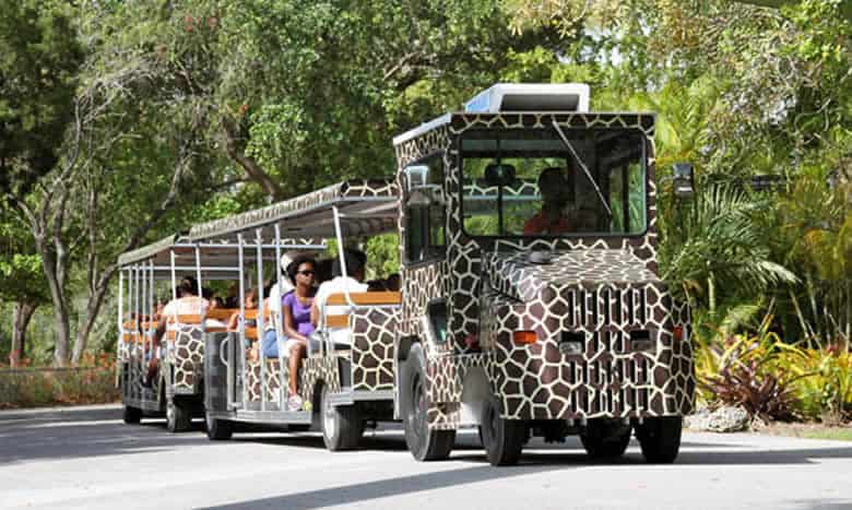 Safari Tram Tours