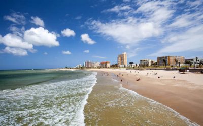 Praia de Hobie Beach em Miami: Perfeita para Windsurfing e pet lovers