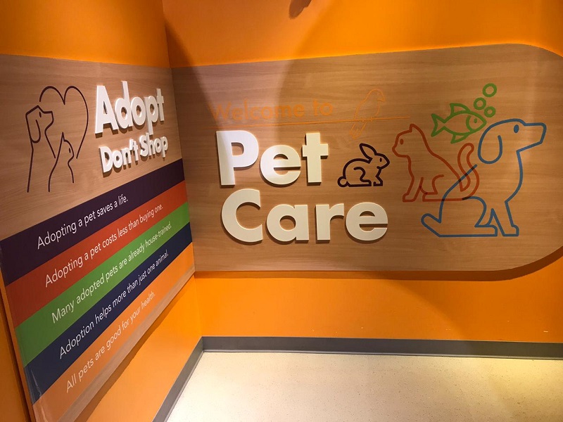 Pet care e centro de adoção de animais no Children's Museum Miami
