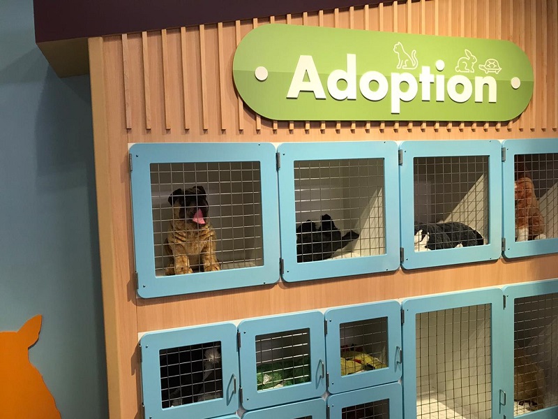 Adote um animal - Miami Children's Museum