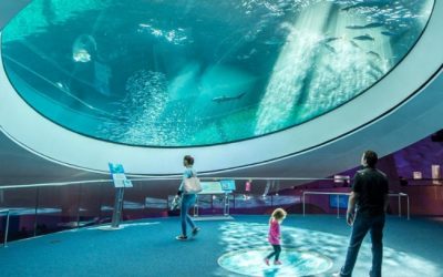 Frost Science Museum em Miami